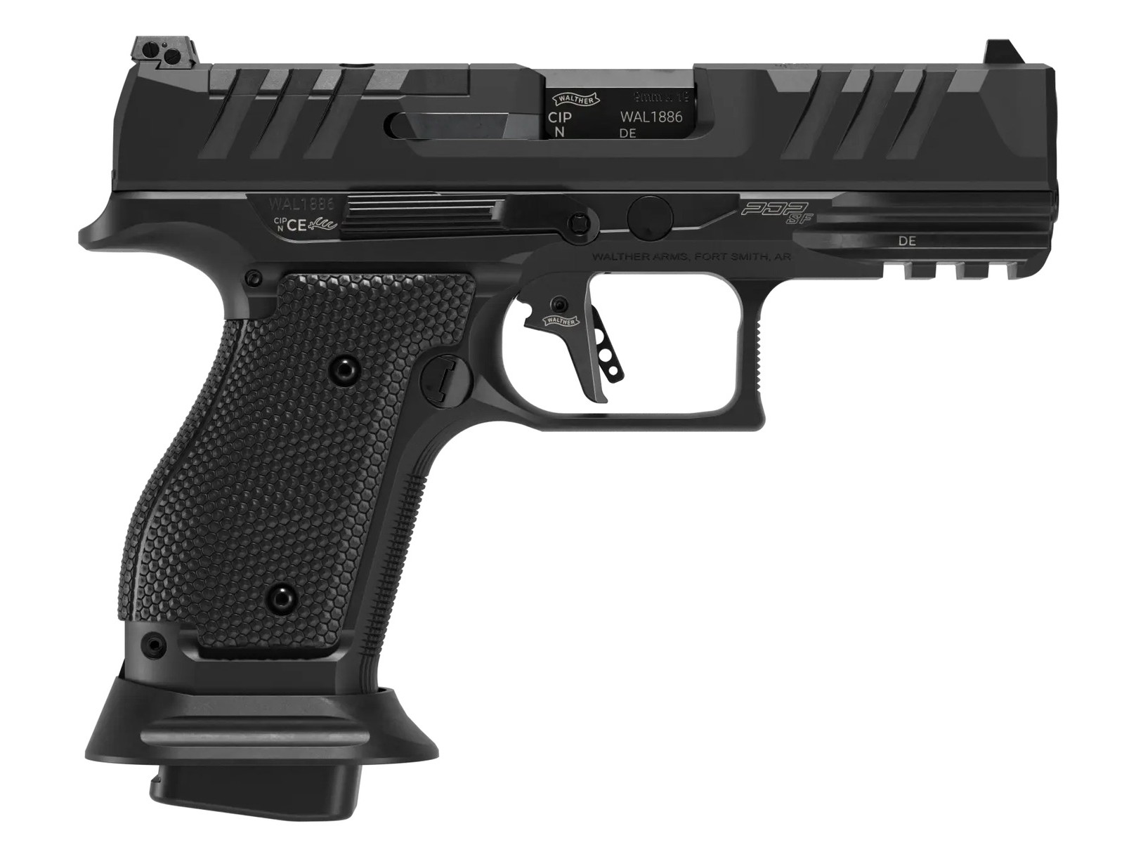 191177.jpg