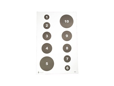 ACTION TGT CIR COMMAND TRNG 100PK