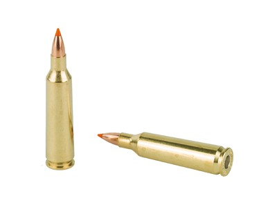 Nosler 22-250 55gr BT - Image 4